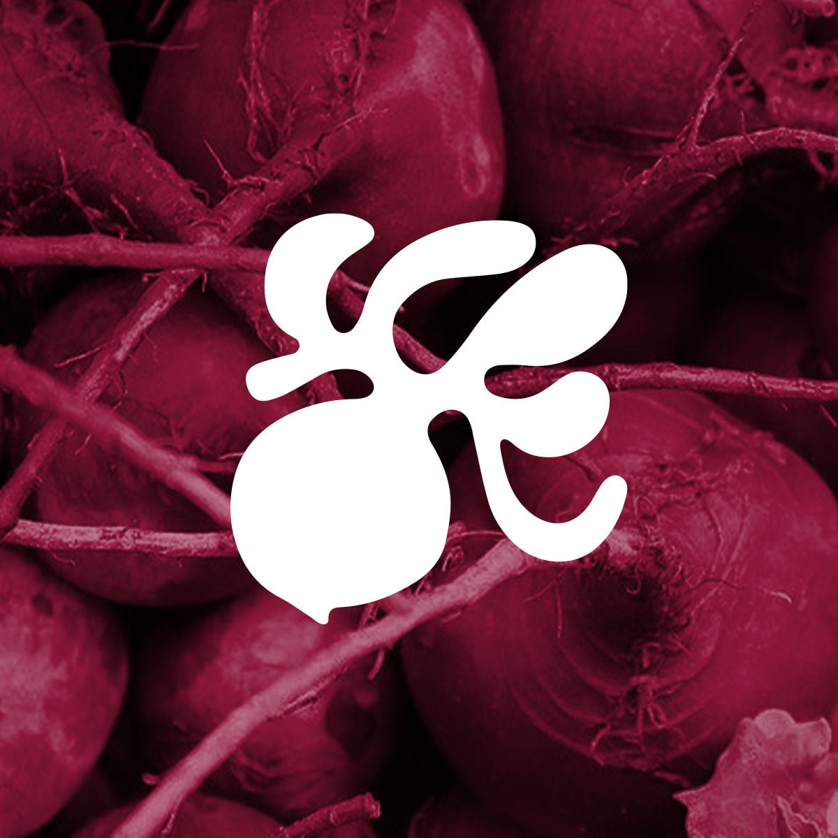 Clover beet illustration shown with a photo of fresh beets